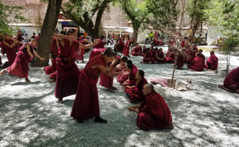 Alójate en un monasterio budista y convive con monjes budistas de la rama Zen